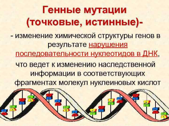 Генные мутации презентация 10 класс