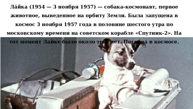 Ла́йка (1954 — 3 ноября 1957) — собака-космонавт, первое животное, выведенное на орбиту Земли. Была запущена в космос 3 ноября 1957 года в половине шестого утра по московскому времени на советском корабле «Спутник-2». На тот момент Лайке было около трёх лет. Погибла в космосе. 