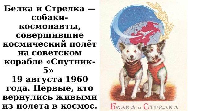 Белка и Стрелка — собаки-космонавты, совершившие космический полёт на советском корабле «Спутник-5» 19 августа 1960 года. Первые, кто вернулись живыми из полета в космос. 