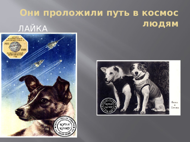 Они проложили путь в космос людям  Лайка  