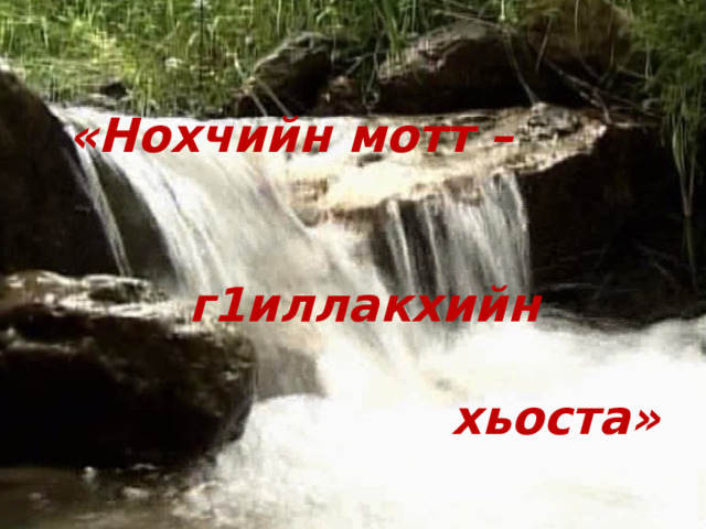 Нохчийн мотт картинки