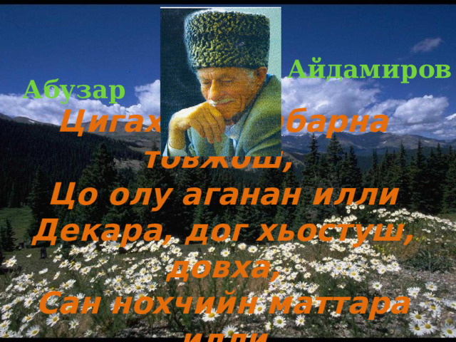      Абузар Айдамиров Цигахь со набарна товжош, Цо олу аганан илли Декара, дог хьостуш, довха, Сан нохчийн маттара илли   
