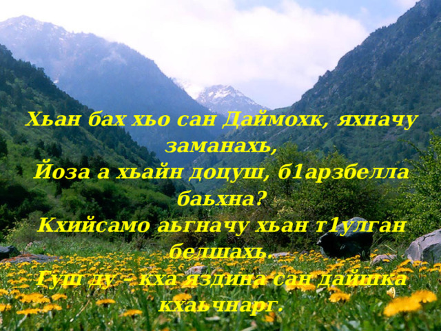 Хьан бах хьо сан Даймохк, яхначу заманахь, Йоза а хьайн доцуш, б1арзбелла баьхна? Кхийсамо аьгначу хьан т1улган белшахь. Гуш ду – кха яздина сан дайшка кхаьчнарг. 