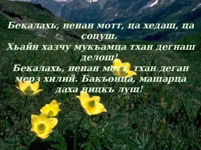           Бекалахь, ненан мотт, ца хедаш, ца соцуш. Хьайн хазчу мукъамца тхан дегнаш делош! Бекалахь, ненан мотт, тхан деган мерз хилий. Бакъонца, машарца даха ницкъ луш! 