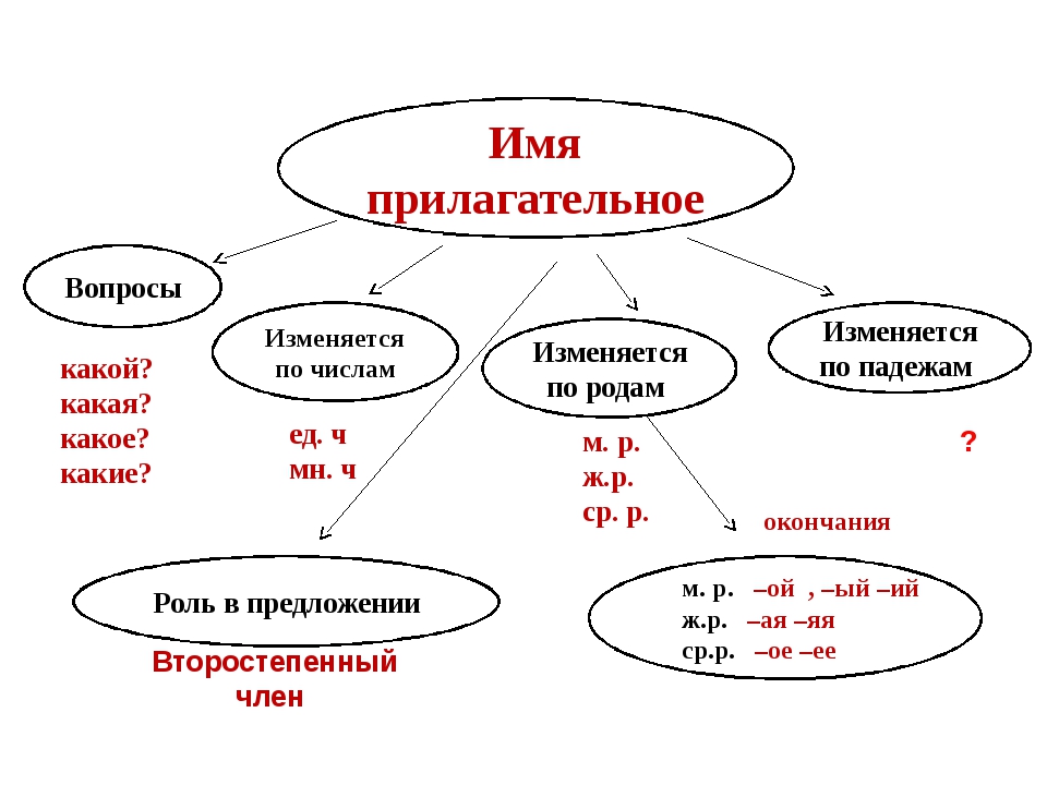 План имени прилагательного