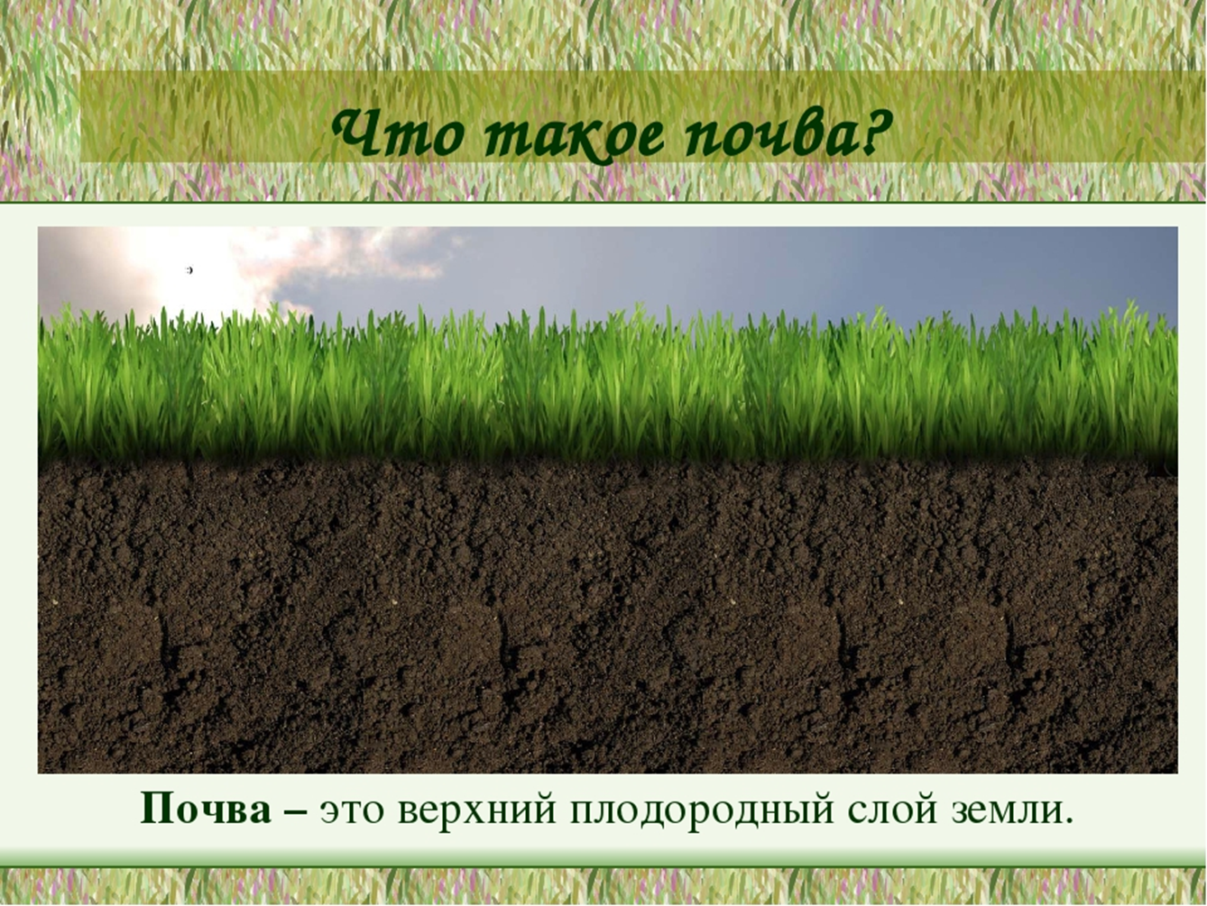 Верхние слои земли называют. Почва. Плодородный слой почвы. Почвенный слой земли. Почва плодородный слой земли.