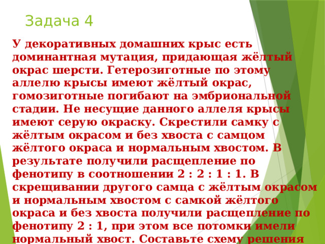 Задача 4 У декоративных домашних крыс есть доминантная мутация, придающая жёлтый окрас шерсти. Гетерозиготные по этому аллелю крысы имеют жёлтый окрас, гомозиготные погибают на эмбриональной стадии. Не несущие данного аллеля крысы имеют серую окраску. Скрестили самку с жёлтым окрасом и без хвоста с самцом жёлтого окраса и нормальным хвостом. В результате получили расщепление по фенотипу в соотношении 2 : 2 : 1 : 1. В скрещивании другого самца с жёлтым окрасом и нормальным хвостом с самкой жёлтого окраса и без хвоста получили расщепление по фенотипу 2 : 1, при этом все потомки имели нормальный хвост. Составьте схему решения задачи. Определите генотипы и фенотипы всех родителей и потомков. Поясните фенотипическое расщепление в первом и втором скрещивании. 