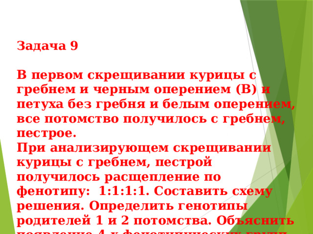 Задача 9  В первом скрещивании курицы с гребнем и черным оперением (В) и петуха без гребня и белым оперением, все потомство получилось с гребнем, пестрое. При анализирующем скрещивании курицы с гребнем, пестрой получилось расщепление по фенотипу: 1:1:1:1. Составить схему решения. Определить генотипы родителей 1 и 2 потомства. Объяснить появление 4-х фенотипических групп. 