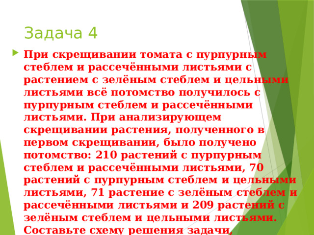 Задача 4 При скрещивании томата с пурпурным стеблем и рассечёнными листьями с растением с зелёным стеблем и цельными листьями всё потомство получилось с пурпурным стеблем и рассечёнными листьями. При анализирующем скрещивании растения, полученного в первом скрещивании, было получено потомство: 210 растений с пурпурным стеблем и рассечёнными листьями, 70 растений с пурпурным стеблем и цельными листьями, 71 растение с зелёным стеблем и рассечёнными листьями и 209 растений с зелёным стеблем и цельными листьями. Составьте схему решения задачи, определите генотипы и фенотипы потомства. Объясните появление фенотипических групп в F 2 . 