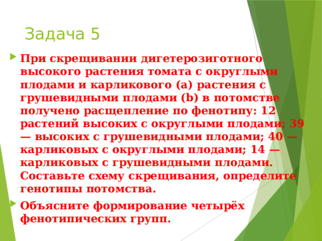 Задача 5 При скрещивании дигетерозиготного высокого растения томата с округлыми плодами и карликового (a) растения с грушевидными плодами (b) в потомстве получено расщепление по фенотипу: 12 растений высоких с округлыми плодами; 39 — высоких с грушевидными плодами; 40 — карликовых с округлыми плодами; 14 — карликовых с грушевидными плодами. Составьте схему скрещивания, определите генотипы потомства. Объясните формирование четырёх фенотипических групп. 