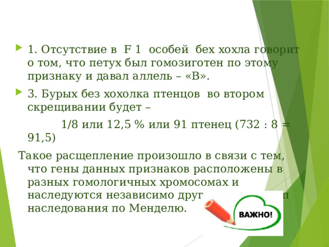 1. Отсутствие в F 1 особей бех хохла говорит о том, что петух был гомозиготен по этому признаку и давал аллель – «В». 3. Бурых без хохолка птенцов во втором скрещивании будет –  1/8 или 12,5 % или 91 птенец (732 : 8 = 91,5)  Такое расщепление произошло в связи с тем, что гены данных признаков расположены в разных гомологичных хромосомах и наследуются независимо друг от друга – тип наследования по Менделю. 
