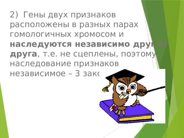 2) Гены двух признаков расположены в разных парах гомологичных хромосом и наследуются независимо друг от друга , т.е. не сцеплены, поэтому наследование признаков независимое – 3 закон Менделя 