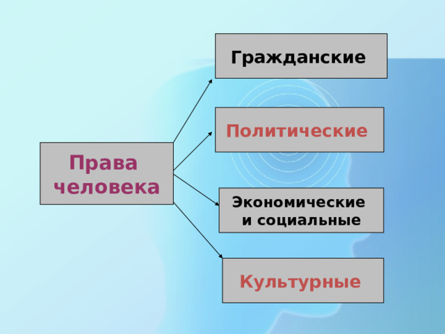 Гражданские Политические Права человека Экономические и социальные Культурные 