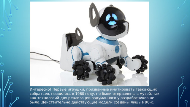 Интересно! Первые игрушки, призванные имитировать гавкающих собратьев, появились в 1960 году, но были отправлены в музей, так как технологий для реализации задуманного у разработчиков не было. Действительно действующие модели созданы лишь в 90-х. 