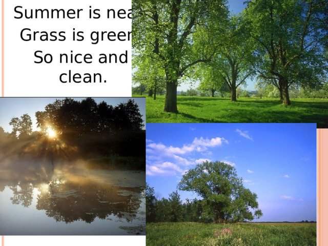 Summer is near  Grass is green,  So nice and clean. 