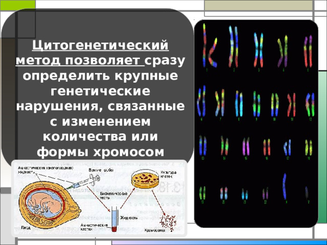 Цитогенетический метод позволяет сразу определить крупные генетические нарушения, связанные с изменением количества или формы хромосом 