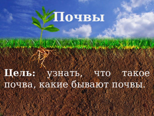 Почвы Цель: узнать, что такое почва, какие бывают почвы. 