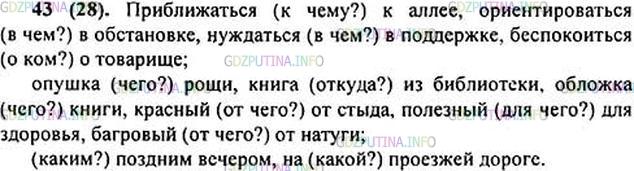 Русский язык 6 класс учебник 1 часть упр 43 стр 25. Упражнение номер 27 по русскому языку 6 класс.