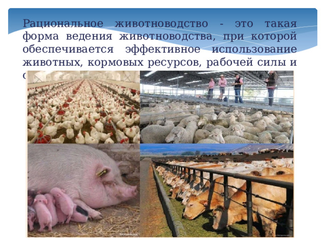 Рациональное животноводство - это такая форма ведения животноводства, при которой обеспечивается эффективное использование животных, кормовых ресурсов, рабочей силы и средств производства. 