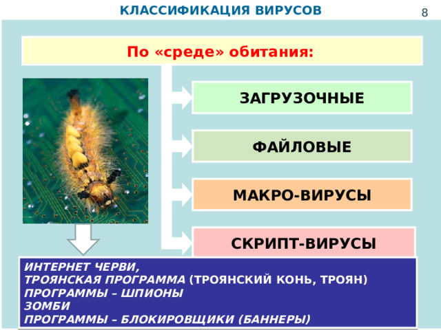 КЛАССИФИКАЦИЯ ВИРУСОВ  По «среде» обитания:  ЗАГРУЗОЧНЫЕ ФАЙЛОВЫЕ МАКРО-ВИРУСЫ СКРИПТ-ВИРУСЫ ИНТЕРНЕТ ЧЕРВИ,  ТРОЯНСКАЯ ПРОГРАММА (ТРОЯНСКИЙ КОНЬ, ТРОЯН) ПРОГРАММЫ – ШПИОНЫ ЗОМБИ ПРОГРАММЫ – БЛОКИРОВЩИКИ (БАННЕРЫ) 