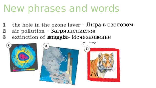 Social issues 7 класс