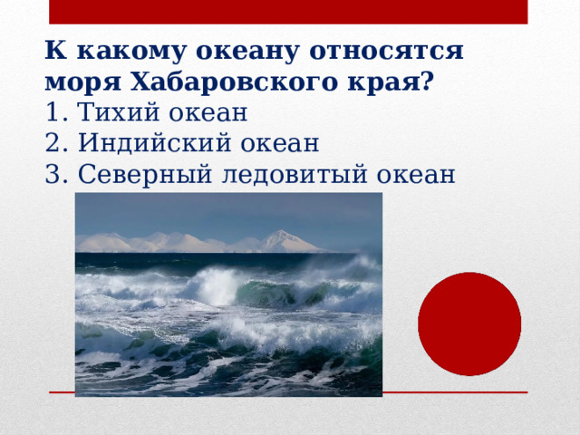 К какому океану относятся моря Хабаровского края? Тихий океан Индийский океан Северный ледовитый океан 