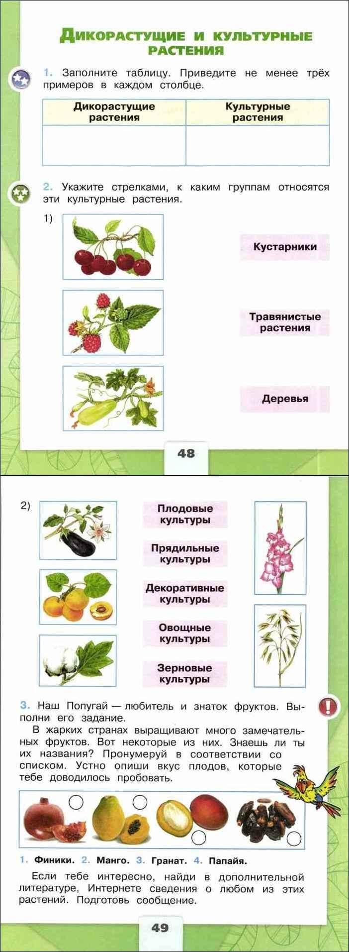 Дикорастущие и культурные растения 2 класс технологическая карта