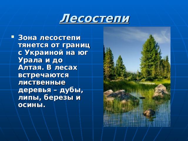 Лесостепи Зона лесостепи тянется от границ с Украиной на юг Урала и до Алтая. В лесах встречаются лиственные деревья – дубы, липы, березы и осины.   
