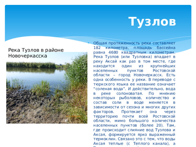  Тузлов Общая протяженность реки составляет 182 километра, площадь бассейна равна 4680 квадратным километрам. Река Тузлов (или Тузловка) впадает в реку Аксай как раз в том месте, где находится один из крупнейших населенных пунктов Ростовской области – город Новочеркасск. Есть одна особенность у реки. В переводе с тюркского языка ее название означает “соленая вода”. И действительно, вода в реке солоноватая. По мнению некоторых рыболовов, количество и состав соли в воде меняется в зависимости от сезона и многих других факторов. Протекает она через территорию почти всей Ростовской области, мимо большого количества населенных пунктов (более 20). Там, где происходит слияние вод Тузлова и Аксая, формируется ярко выраженный термоклин. Связано это с тем, что воды Аксая теплые (с Теплого канала), а Тузлова – холодные (родниковые воды впадающих в него речушек). Река по всей своей протяженности не судоходна. Река Тузлов в районе Новочеркасска 