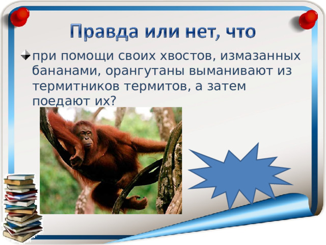при помощи своих хвостов, измазанных бананами, орангутаны выманивают из термитников термитов, а затем поедают их? неправда 