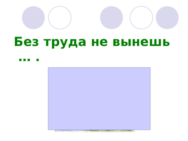  Без труда не вынешь … . 