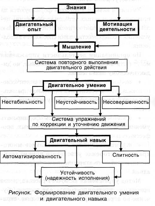 Схема образования двигательного навыка