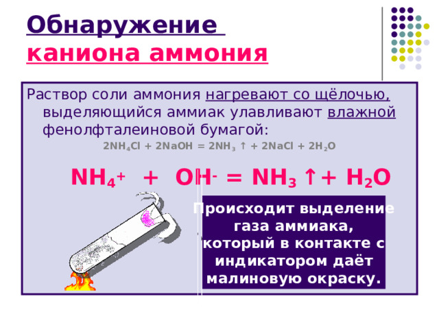 Обнаружение  каниона аммония Раствор соли аммония нагревают со щёлочью, выделяющийся аммиак улавливают влажной фенолфталеиновой бумагой: 2NH 4 Cl + 2NaOH = 2NH 3 ↑ + 2NaCl + 2H 2 O   NH 4 + + O Н - = NH 3  ↑+ Н 2 О  Происходит выделение газа  аммиака, который в контакте с индикатором даёт малиновую окраску. 