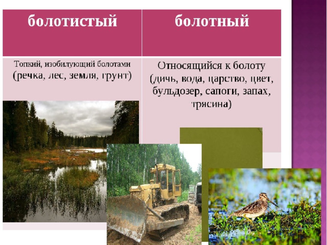 Полн ф