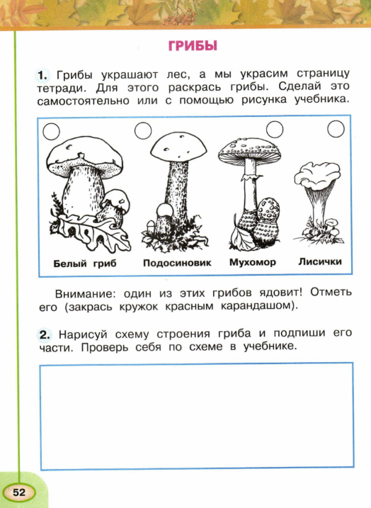 Летом в лесу приятно пахнет грибами составь схему