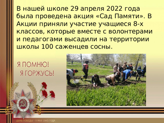 В нашей школе 29 апреля 2022 года была проведена акция «Сад Памяти». В Акции приняли участие учащиеся 8-х классов, которые вместе с волонтерами и педагогами высадили на территории школы 100 саженцев сосны. 