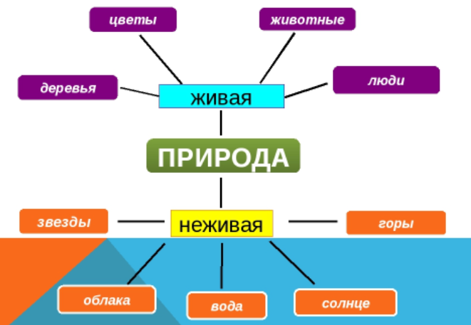 Схема живая природа