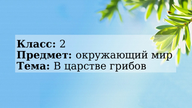 Класс: 2  Предмет: окружающий мир  Тема: В царстве грибов 