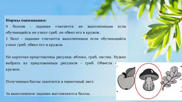 Нормы оценивания: 0 баллов - задание считается не выполненным если обучающийся не узнал гриб, не обвел его в кружок. 1 балл - задание считается выполненным если обучающийся узнал гриб, обвел его в кружок На карточке представлены рисунки: яблоко, гриб, листик. Нужно выбрать из предложенных рисунков – гриб. Обвести его в кружок. Полученные баллы заносятся в оценочный лист. За выполненное задание выставляются баллы. 