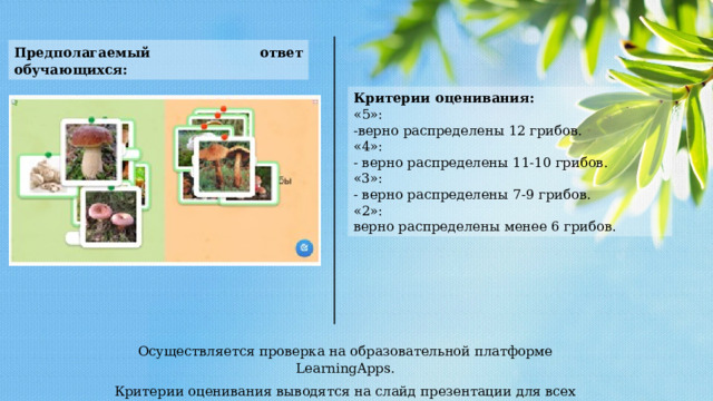 Предполагаемый ответ обучающихся: Критерии оценивания: «5»: -верно распределены 12 грибов. «4»: - верно распределены 11-10 грибов. «3»: - верно распределены 7-9 грибов. «2»: верно распределены менее 6 грибов. Осуществляется проверка на образовательной платформе LearningApps. Критерии оценивания выводятся на слайд презентации для всех учащихся с объяснением. 