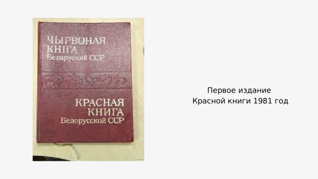 Первое издание Красной книги 1981 год 