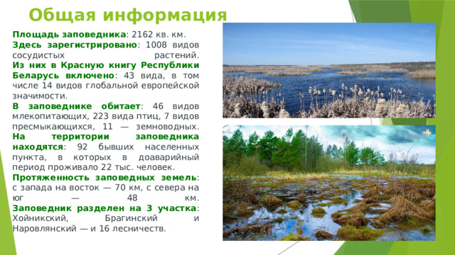 Общая информация   Площадь заповедника : 2162 кв. км. Здесь зарегистрировано : 1008 видов сосудистых растений.  Из них в Красную книгу Республики Беларусь включено : 43 вида, в том числе 14 видов глобальной европейской значимости. В заповеднике обитает : 46 видов млекопитающих, 223 вида птиц, 7 видов пресмыкающихся, 11 — земноводных.  На территории заповедника находятся : 92 бывших населенных пункта, в которых в доаварийный период проживало 22 тыс. человек. Протяженность заповедных земель : с запада на восток — 70 км, с севера на юг — 48 км.  Заповедник разделен на 3 участка : Хойникский, Брагинский и Наровлянский — и 16 лесничеств. 
