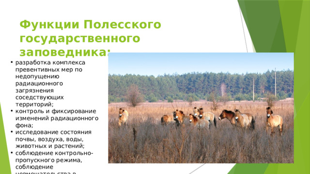 Функции Полесского государственного заповедника: разработка комплекса превентивных мер по недопущению радиационного загрязнения соседствующих территорий; контроль и фиксирование изменений радиационного фона; исследование состояния почвы, воздуха, воды, животных и растений; соблюдение контрольно-пропускного режима, соблюдение невмешательства в естественную ход развития жизни 