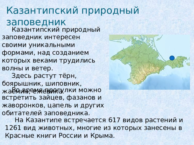 Казантипский природный заповедник  Казантипский природный заповедник интересен своими уникальными формами, над созданием которых веками трудились волны и ветер.  Здесь растут тёрн, боярышник, шиповник, жасмин, ежевика.     Во время прогулки можно встретить зайцев, фазанов и жаворонков, цапель и других обитателей заповедника.  На Казантипе встречается 617 видов растений и 1261 вид животных, многие из которых занесены в Красные книги России и Крыма. 