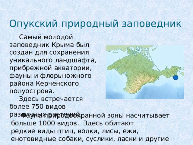 Опукский природный заповедник  Самый молодой заповедник Крыма был создан для сохранения уникального ландшафта, прибрежной акватории, фауны и флоры южного района Керченского полуострова.   Здесь встречается более 750 видов различных растений.    Фауна природоохранной зоны насчитывает больше 1000 видов.  Здесь обитают редкие виды птиц, волки, лисы, ежи, енотовидные собаки, суслики, ласки и другие млекопитающие. 