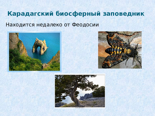Карадагский биосферный заповедник Находится недалеко от Феодосии 