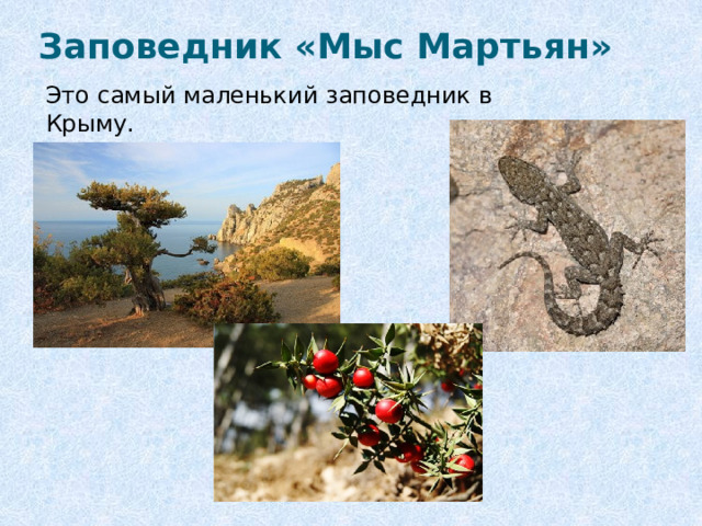 Заповедник «Мыс Мартьян» Это самый маленький заповедник в Крыму. 