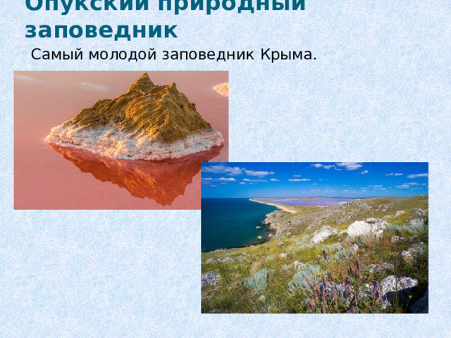 Опукский природный заповедник Самый молодой заповедник Крыма. 