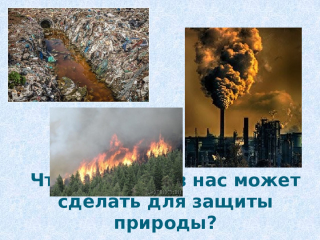 Что каждый из нас может сделать для защиты природы? 