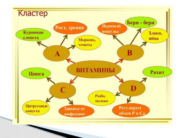 Проекты на уроках биологии примеры